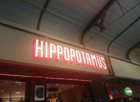 Hippopotamus outside