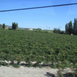 Le Clos des Oliviers Exterior