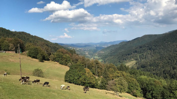 Les Bagenelles outside