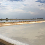 Salin De La Palme Extérieur