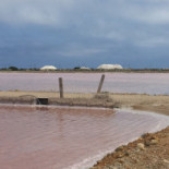 Salin De La Palme Extérieur