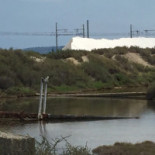 Salin De La Palme Extérieur