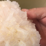 Salin De La Palme Boisson