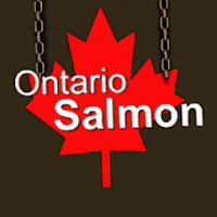 Ontario logo