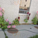 Burger King Exterior