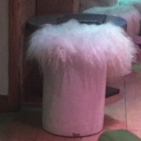 L'igloo Lounge Bar Restaurant Boisson