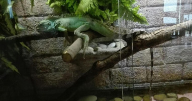 Hospoda U Kousala À l'intérieur