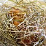 Auberge De La Mine drink