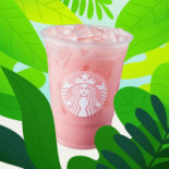 Arrain Bela Le Poisson A Voile Bebida