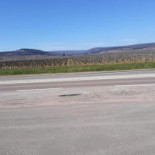 Yellow Bus Burger outside