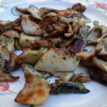 Au Moulin d'Alexandre Cibo