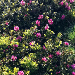 Cafe De La Ferme Extérieur