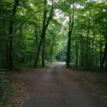 Autogrill Aire De Beaune Merceuil A6 Exterior