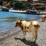 La Cabane Du Berger Exterior