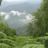 Auberge les Myrtilles