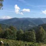 Auberge les Myrtilles