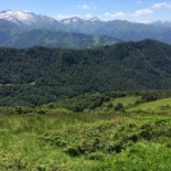 Auberge les Myrtilles