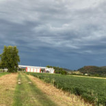 Domino's Pizza Bressuire Extérieur