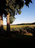Les Roseaux outside