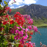 La Queue De Cochon Extérieur