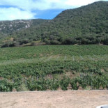 Domaine Pero Longo Extérieur