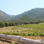 Domaine Pero Longo Extérieur