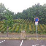 Autogrill Aire De Beaune Merceuil A6 Exterior