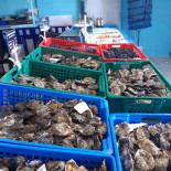 O Petit Ange Des Mer Vente De Coquillages Menu