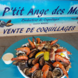 O Petit Ange Des Mer Vente De Coquillages Menu