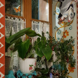 S'bastberger-stuewel Boisson