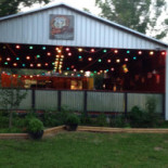 Un Chien Dans Un Jeu De Quilles Extérieur