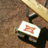 Brasserie de la Mairie Carte