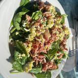 Le Loup Blanc Nourriture