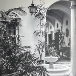 Le Comptoir Iodé drink