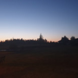 Le Grisard Extérieur