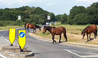 The Rising Sun Extérieur