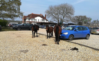 The Rising Sun Extérieur