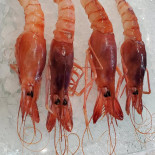 Peixateria La Llotja Nourriture