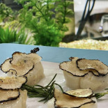 Peixateria La Llotja Boisson