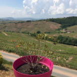 Auberge de la Madone Extérieur