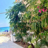 Brasserie Aumega Exterior