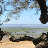 La Boucherie Restaurant Exterior