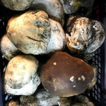 ALEGRIA Bistro Bodega Comida