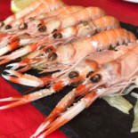 Auberge de Chanaleilles food