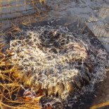 Parc des Graves Getränk