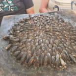 Parc des Graves Außen