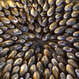 Parc des Graves Getränk