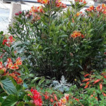 Château Hochberg outside