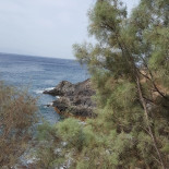 Le Sporting Exterior