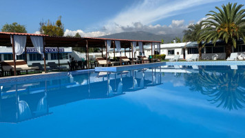 Du Parc Saint Leger Grands Felins